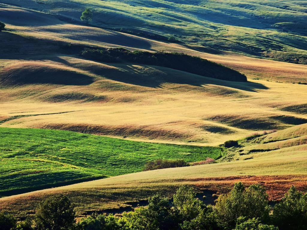 Agriturismo La Buca Di Bellugi San Quirico dʼOrcia Exterior foto